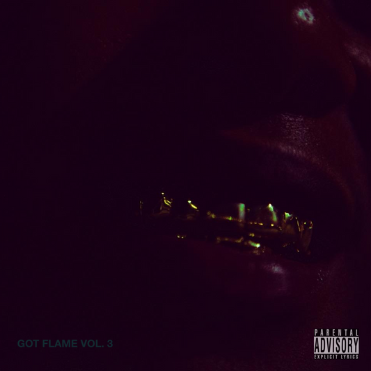 Got Flame Vol. 3 Mixtape (Digital Copy)